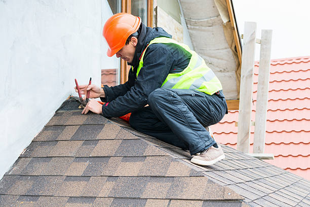 Best Metal Roofing Contractor  in Kotzebue, AK