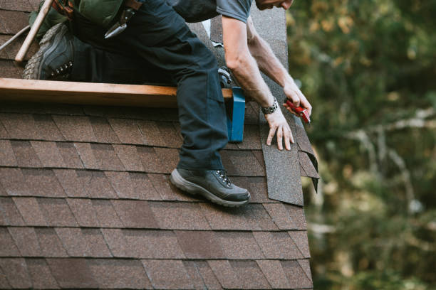 Best Residential Roof Replacement  in Kotzebue, AK
